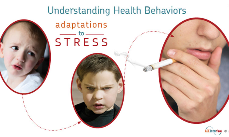 stress slide